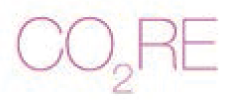 C02 RE Laser Treatment